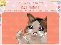 Image result for Cat Thumbs Up Crying Variations