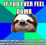 Image result for Wild Animal Memes