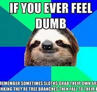 Image result for Funny Sloth Says