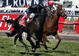 Image result for Melbourne Horse Racing