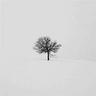 Image result for Black and White Wallpaper Hotos for iPhone