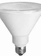 Image result for LED Flood Light Bulbs