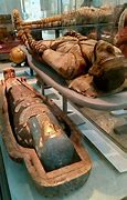 Image result for Wiennie Mummies