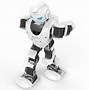 Image result for Remote Control Humanoid Robots