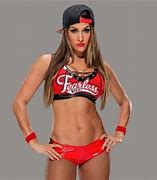 Image result for Fearless Gear WWE Nikki Bella