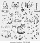 Image result for Pet Cat Toys
