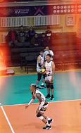 Image result for Volleyball 18 Shorts