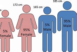 Image result for 30 Cm Tall