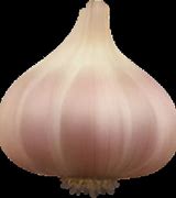 Image result for Garlic Emoji