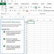 Image result for Lost Excel File Recovery