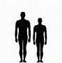 Image result for 5 Foot 6 Inches Person