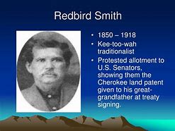 Image result for Redbird Smith