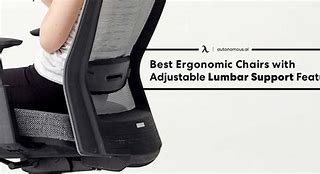 Image result for Best White Office Chair Lumbar Support