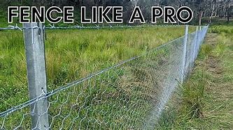 Image result for DIY Chicken Wire Fence