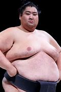 Image result for Short Sumo Wrestler