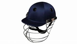 Image result for SS Cricket Helmet