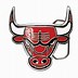 Image result for Chicago Bulls Banner
