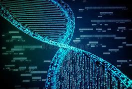 Image result for What Are DNA Sequences