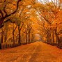 Image result for Autumn Fall HD Wallpaper