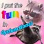 Image result for Funny Raccoon Meme Corn