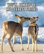 Image result for Funny Best Friend Photos
