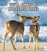 Image result for I Want to Be Your Friend Meme