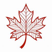 Image result for A Maple Leaf Icon