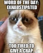 Image result for Overworked Cat Meme