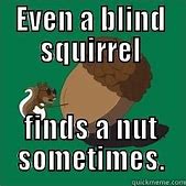 Image result for Blind Squirrel Meme