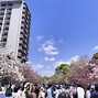 Image result for Osaka Castle Inside