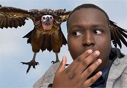 Image result for Damn Nature You Scary Meme