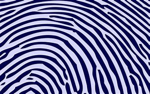 Image result for Fingerprint Wallaper