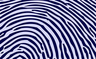 Image result for Fingerprint Wallapaper