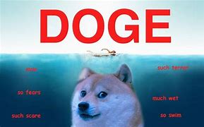 Image result for Dog Meme WoW Much Experience