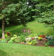 Image result for Summer Garden Plants Wisconsin