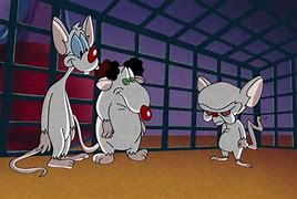 Image result for Pinky and Brain Animators