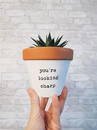 Image result for Cactus Pot