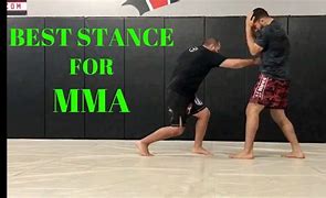 Image result for MMA Stance Poster