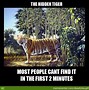 Image result for Humorous Tiger Memes
