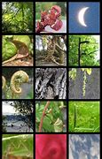 Image result for Alphabet Photography Z