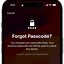 Image result for Forgot iPhone Passcode XR