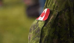 Image result for 20th Year Serving in the Canadian Armed Forces