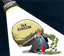 Image result for Tax Evasion Cartoon