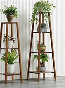 Image result for Indoor Multi Plant Stands