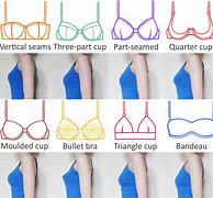 Image result for Cup Size Visual Chart