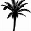 Image result for Simple Palm Tree Silhouette