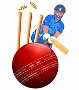 Image result for Cricket Bug Sticker