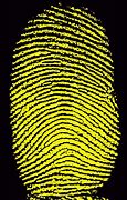 Image result for Thumbprint Phone