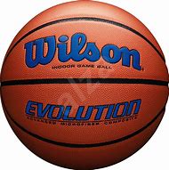 Image result for Wilson Evolution Game Ball