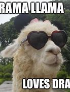 Image result for Bad Llama Meme